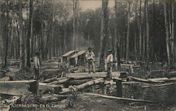 Aserradero En El Campo [Sawmill in the Field] Chile Postcard Postcard Postcard