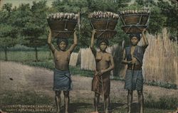 Igorote Women Carrying Sweet Potatoes Benguet, Philippines Southeast Asia Postcard Postcard Postcard