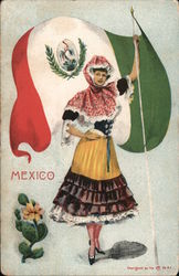 Woman With Flag Postcard