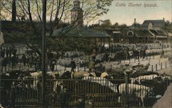 View of Cattle Market Ipswich, England Postcard Postcard Postcard