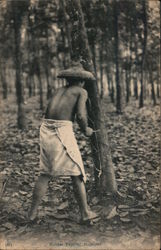 Rubber Tapping Postcard