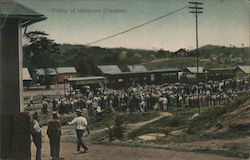 Paying of labourers (Panama) Postcard