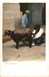 Maltese Milkman Malta Postcard Postcard Postcard