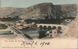 The Bridges of the Dog River Postcard