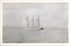 Four Masted Sailboat on Water Postcard