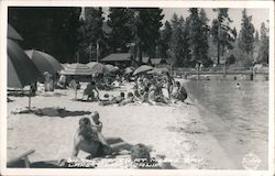 On the Beach at Meeks Bay, Lake Tahoe California Postcard Postcard Postcard