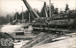 Unloading Logs Into the Mill Pond - Pacific Lumber Company Scotia, CA Postcard Postcard Postcard