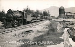 The Loging Train and Section of Mill Pond Pacific Lumber Co Scotia, CA Postcard Postcard Postcard