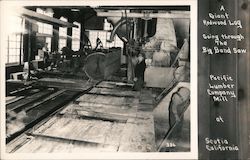 Giant Redwood Log Going Through Band Saw - Pacific Lumber Company Mill Postcard