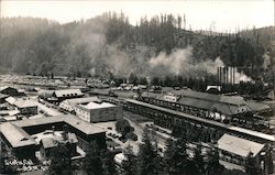 Pacific Lumber Company Scotia, CA Postcard Postcard Postcard