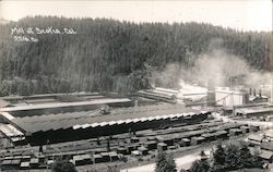 Mill at Scotia, Cal. Postcard