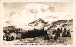 Mt Rainier Washington Mount Rainier National Park Postcard Postcard Postcard