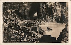 Interior Sea Lion Caves Postcard