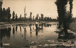 Boating Down a Xochimilco Canal Mexico City, DF Postcard Postcard Postcard