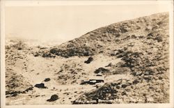 Hollywood Bowl in 1920 Postcard