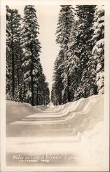 Winter on Lassen Volcanic Highway Lassen Volcanic National Park Postcard Postcard Postcard