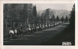 Indians on Horseback Postcard