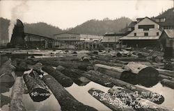 Pacific Lumber Co Mill Pond, Daily Capacity of Output 250,000 Bd. Feet Scotia, CA Postcard Postcard Postcard