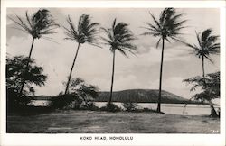 Koko Head Postcard