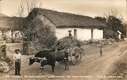 Pueblo De Huajuquito - Men with a Cart Pulled by Oxen Mexico Postcard Postcard Postcard