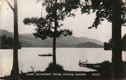 Lake Dunmore from Atkins Shore Brandon, VT Postcard Postcard Postcard