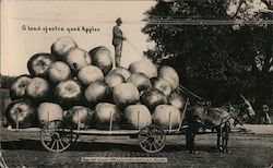 A Load of Extra Good Apples Postcard