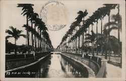 Avenida do Mangue Postcard