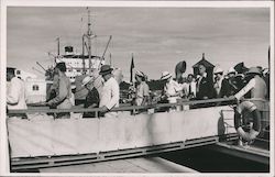 Tourists Disembarking from MS St. Louis Postcard