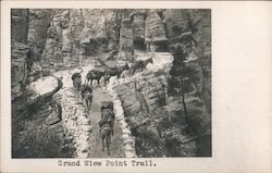 Grand Wiew Point Trail Postcard