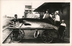 Giant fish on a wagon Exaggeration Postcard Postcard Postcard