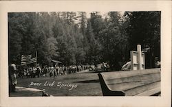 Deer Lick Springs Postcard