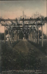 The Pergola, Cromwell Hall Postcard