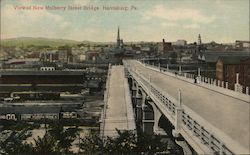 View of New Mulberry Street Bridge Postcard