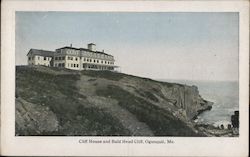 Cliff House and Bald Head Cliff Postcard