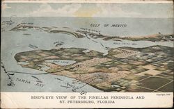 Bird's-Eye View of the Pinellas Peninsula and Postcard