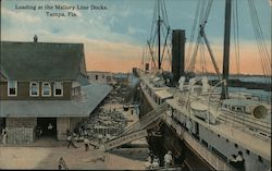 Loading at the Mallory Line Docks Tampa, FL Postcard Postcard Postcard