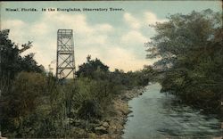 In the Everglades, Observatory Tower Miami, FL Postcard Postcard Postcard