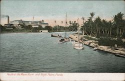 Mouth of the Miami Rover and Royal Palms Florida Postcard Postcard Postcard