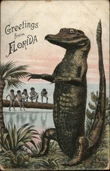 Greetings from Florida Postcard