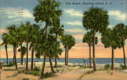 The Beach Hunting Island, SC Postcard Postcard