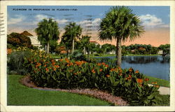 Flowers In Profusion In Florida Postcard