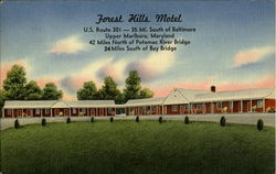 Forest Hills Motel, U. S. Route 301 Postcard