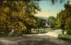 Lone Pine Postcard