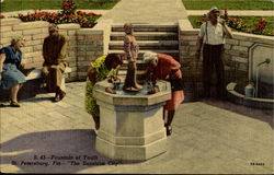 Fountain Of Youth Postcard