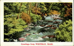 Greetings From Whitman Postcard