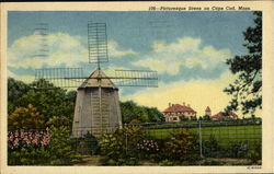 Picturesque Scene On Cape Cod Postcard