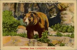 Greetings From Canistota South Dakota Postcard Postcard