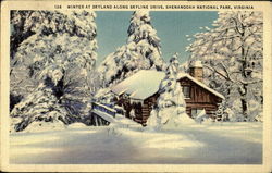 Winter At Skyland Along Skyline Drive, Shenandoah National Park Postcard Postcard