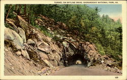 Tunnel On Skyline Drive, Shenandoah National Park Postcard Postcard