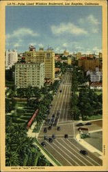 Palm Lined Wilshire Boulevard Los Angeles, CA Postcard Postcard